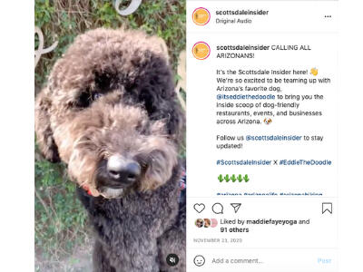 @scottsdaleinsider-eddie-collab